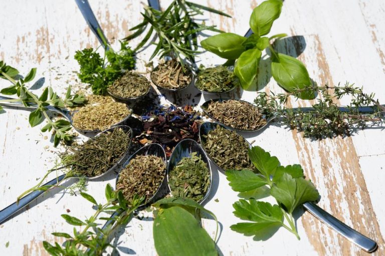 fresh and dried herbs and spices from all over the world